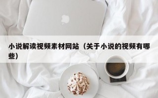 小说解读视频素材网站（关于小说的视频有哪些）
