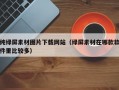 纯绿屏素材图片下载网站（绿屏素材在哪款软件里比较多）