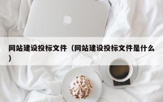 网站建设投标文件（网站建设投标文件是什么）