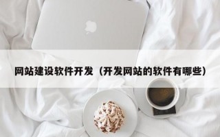 网站建设软件开发（开发网站的软件有哪些）