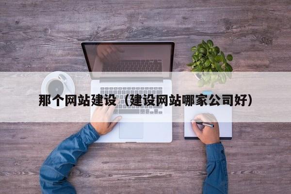 那个网站建设(建设网站哪家公司好)